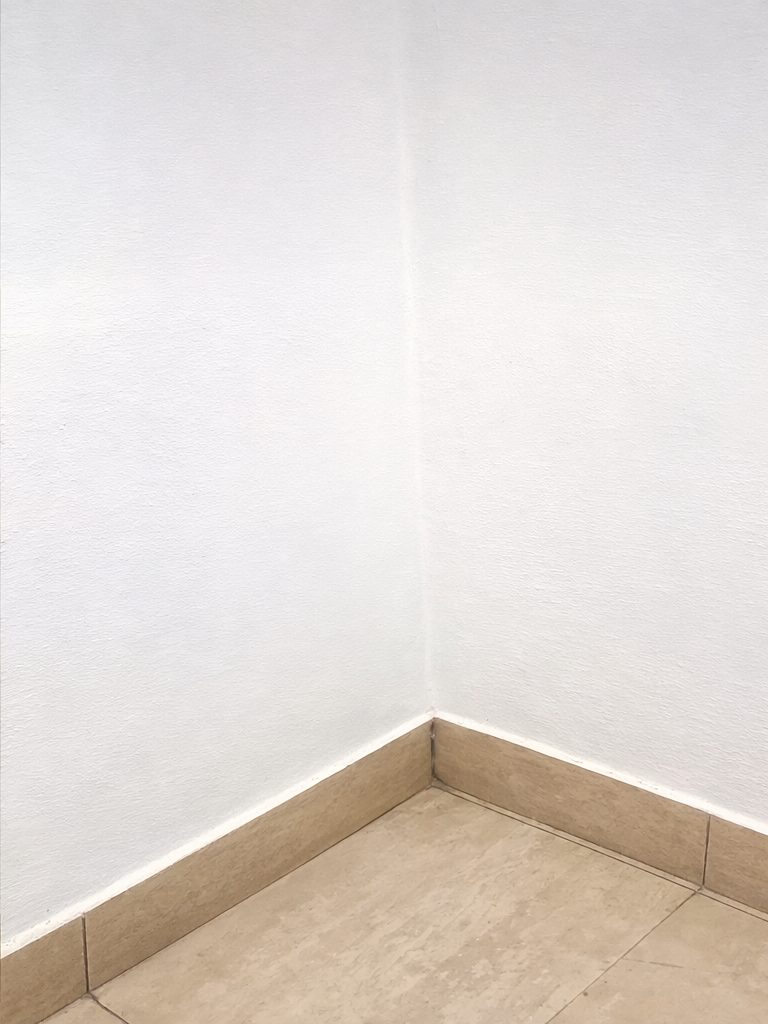 Wall surface after professional mould and mildew removal